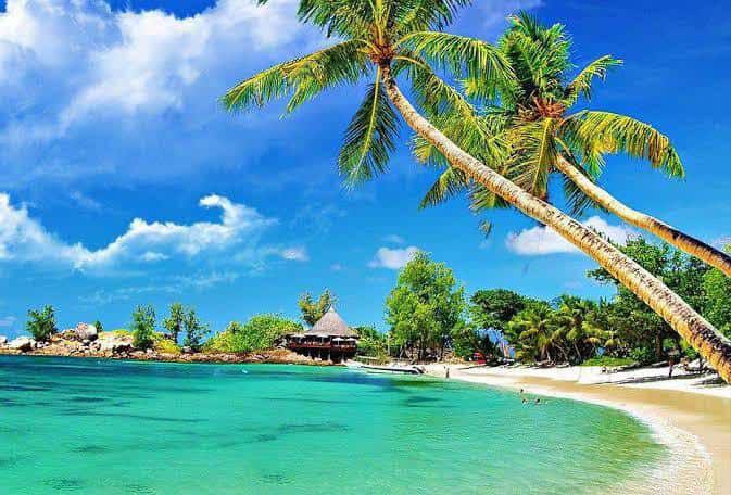 Discover Weed in Montpellier