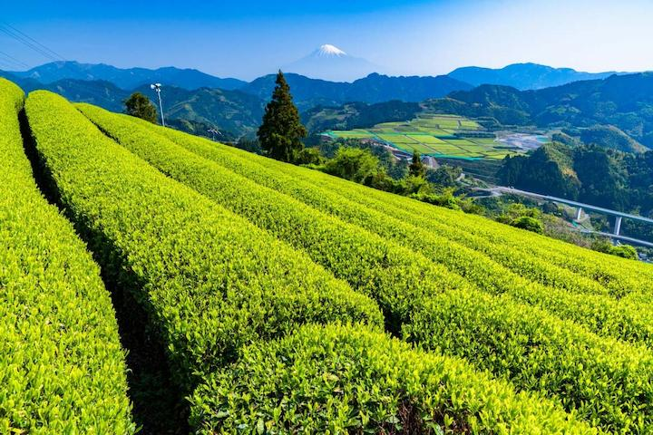 Landscape in Japan