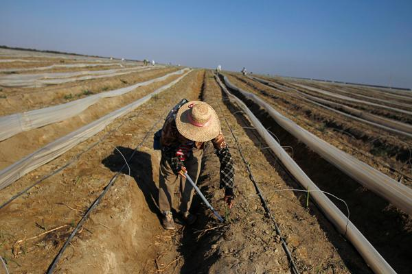 Land space in Peru