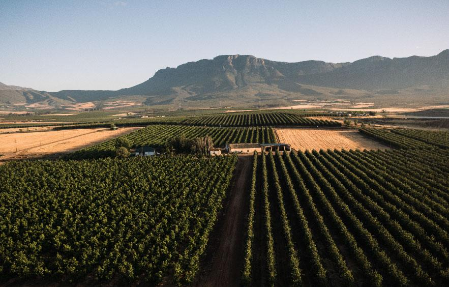 Graaff Fruit Farms