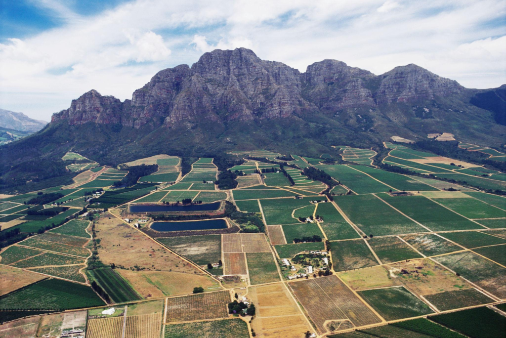Aerial view of Winery near mountain