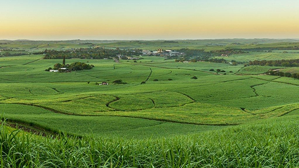 Landscape picture