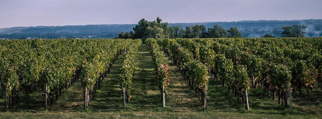 Landscape Picture