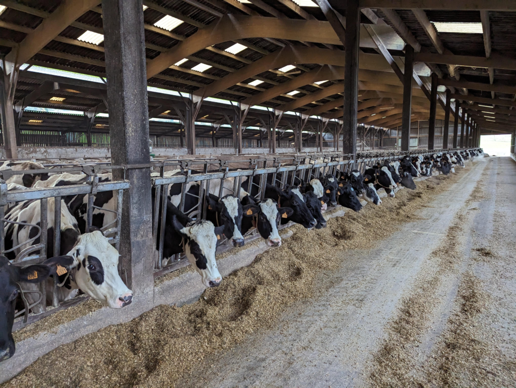 Interfarm