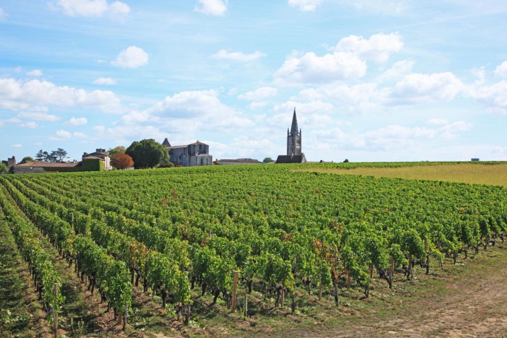 Bordeaux vineyards, Saint Emilion, Gironde, France