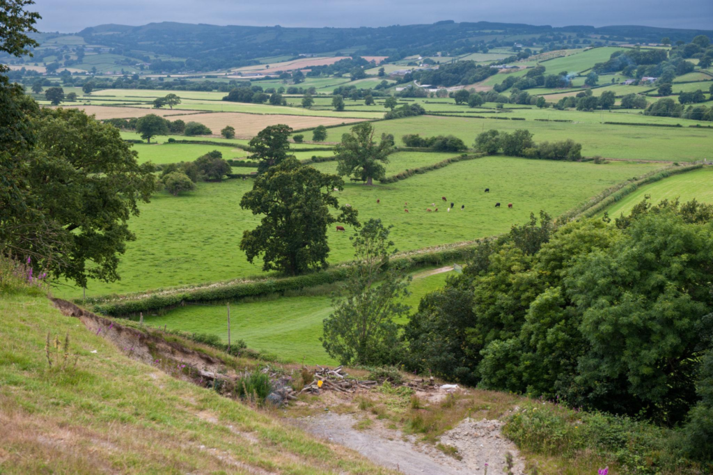 Wales countryside agriculture