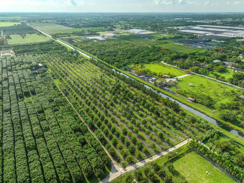 19305 167 Avenue, Miami, FL 33189 | LoopNet