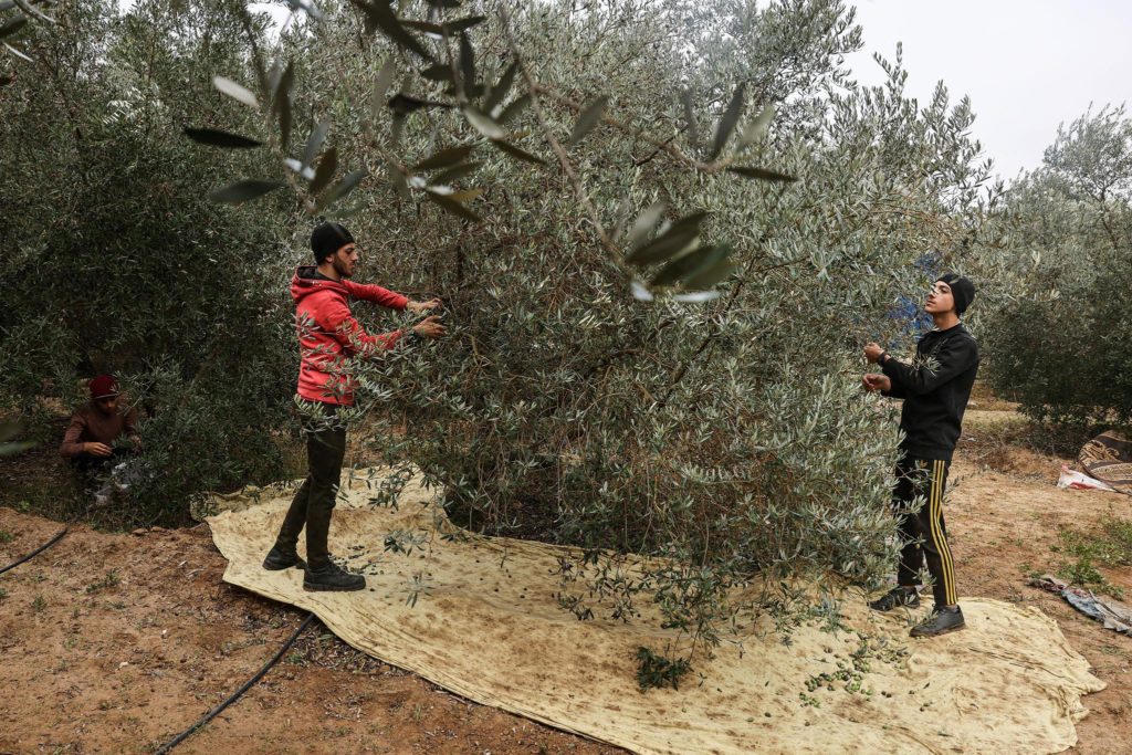 TOPSHOT-PALESTINIAN-ISRAEL-CONFLICT
