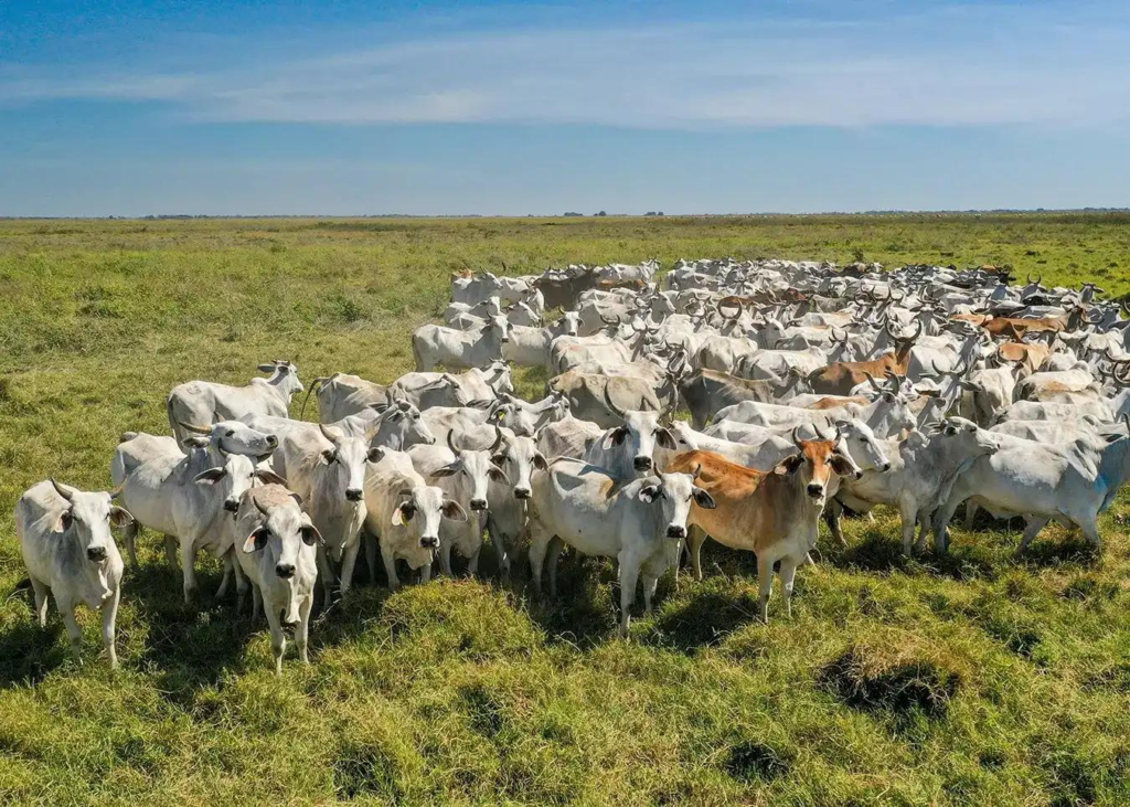 Travel to The Plains "Los Llanos" - Soco Adventures