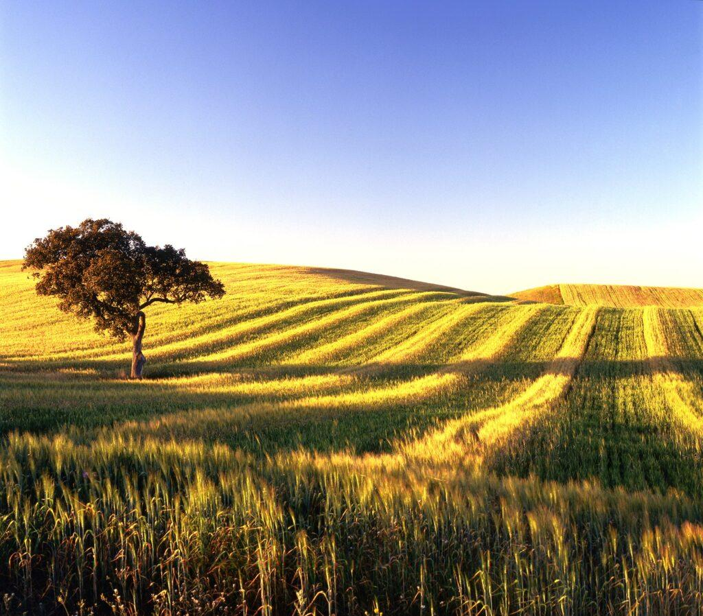 Alentejo - Archipelago Choice